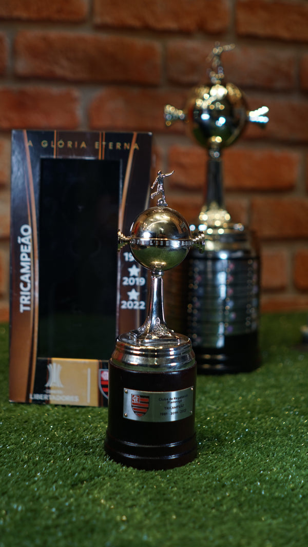 Taça Libertadores